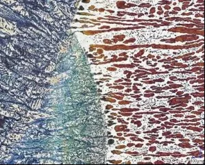 Microscopic image of duplex stainless steel composition